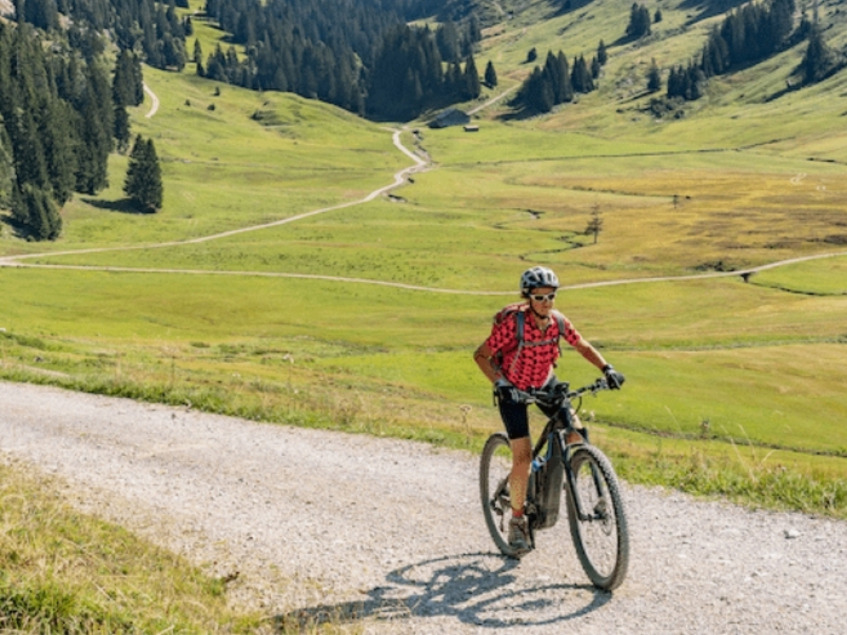 Revisión de la batería de la bicicleta: ¿Debería?